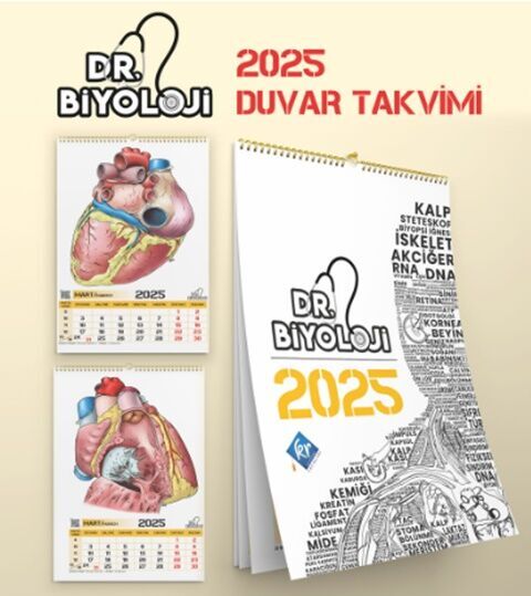 KR Akademi Barış Hoca Dr. Biyoloji Poster Takvim KR Akademi Barış Hoca Dr. Biyoloji Poster Takvim